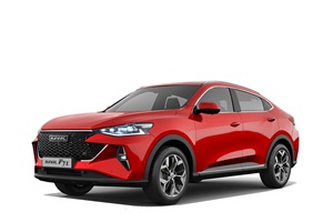 Запчасти для Haval F7x I поколение 2019-2024